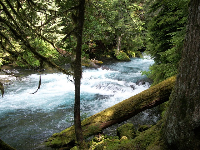 The McKenzie River flows from the Cascade Range westward 90 miles to the southernmost part of the Willamette Valley. It is a tributary of the Willamette River.